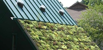 n11491 Energiebesparing, groendak
